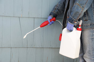 Commercial Exterminator Services - NY