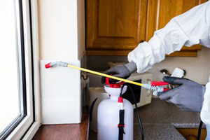Residential Exterminator Services in NY